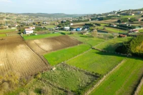 Milli-Emlaktan-arsa-yatirimcilarina-firsat.-11-bin-TLye-arazi-satisa-cikti-featured