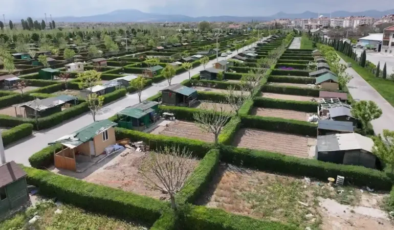 Kooperatiflere tarım arazisi freni: Hobi bahçesi modeline tapu engeli