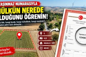 Tasinmaz-Numarasiyla-Mulkun-Nerede-Oldugunu-Ogrenmenin-Yolu-featured
