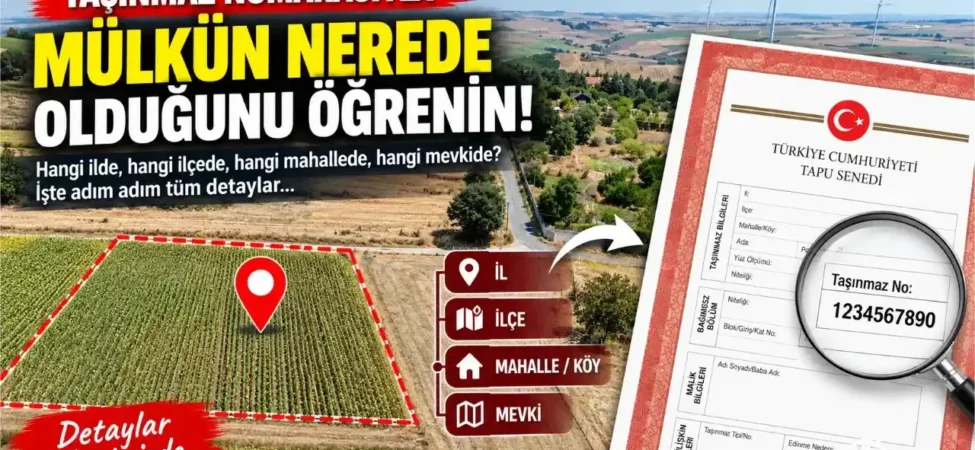 Tasinmaz-Numarasiyla-Mulkun-Nerede-Oldugunu-Ogrenmenin-Yolu-featured