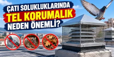 Bina-Cati-Solukluklarindaki-Tel-Korumaliklar-Neden-Onemli-featured