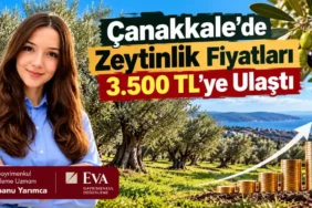Canakkale-Tarim-Arazilerinde-Fiyat-Artisi-Dikkat-Cekiyor-featured