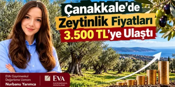 Canakkale-Tarim-Arazilerinde-Fiyat-Artisi-Dikkat-Cekiyor-featured