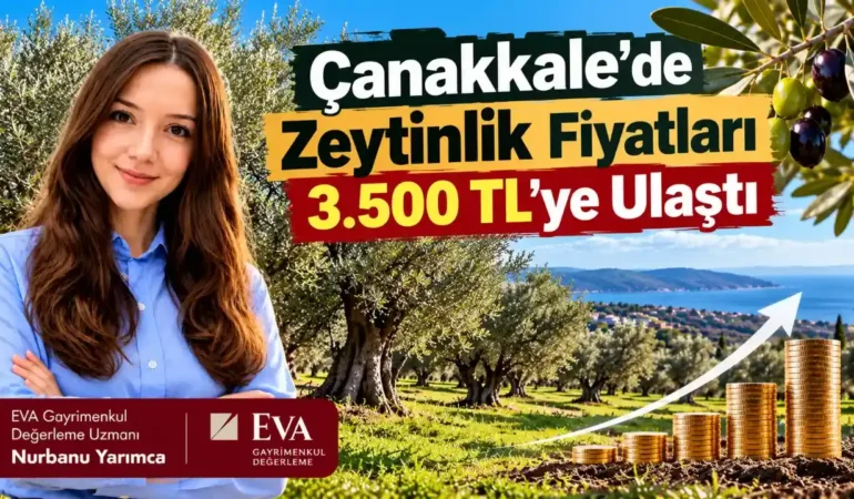 Çanakkale Tarım Arazilerinde Fiyat Artışı Dikkat Çekiyor